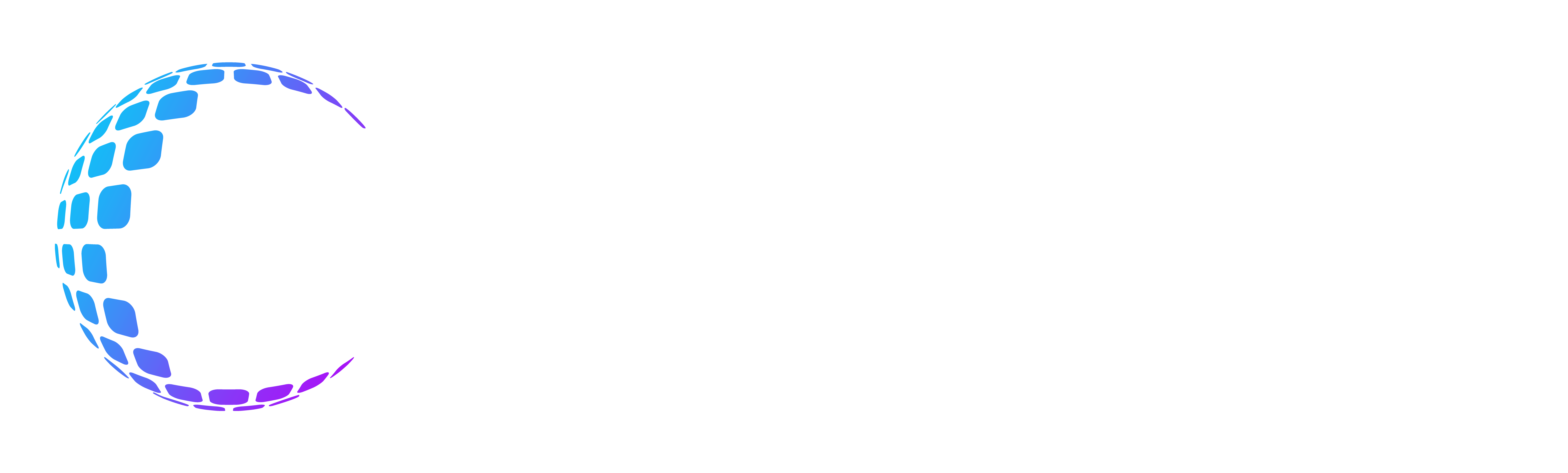 Niixie International Logo
